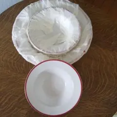 【新品】Adam & Eve ❣️たち吉❣️大皿と中皿のセット❣️カレーとサラダ