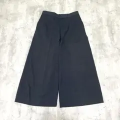 INED ワイドパンツ 美脚シルエット ダークネイビー系 きれいめ　コンサバ