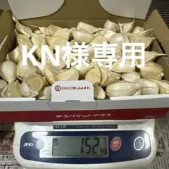 青森県産ニンニク バラ粒不揃い