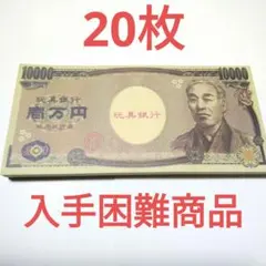 玩具銀行 お札 知育玩具 おもちゃ20枚のサムネイル