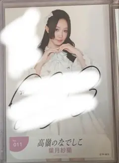 2026年最新】葉月紗蘭の人気アイテム - メルカリ