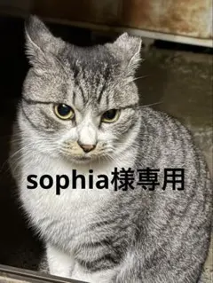sophia様専用です