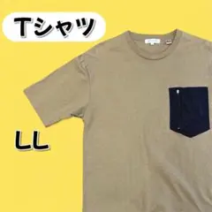 極美品 SUFFUSE 上質コットン 無地Tシャツ LL ゆったり ベージュ