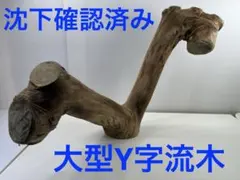 Item thumbnail for item fa25ec8a-a607-4758-aa4a-96e87815e8f0