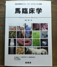 馬臨床学