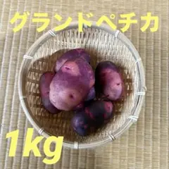 2026年最新】グランドペチカの人気アイテム - メルカリ