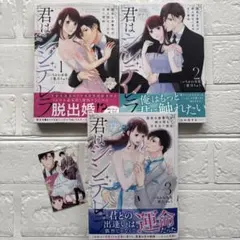 君はシンデレラ～孤高な御曹司が絶え間なく愛を注ぐ理由～【財閥御曹司シリーズ】