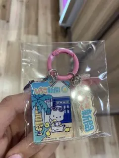 アクリルチャーム　ポチャッコ