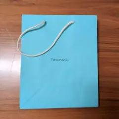 Tiffany & Co. ショップ袋 ショッパーのサムネイル