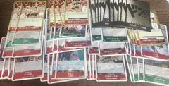 ワンピースカードゲーム　スタートデッキEX ルフィ&エース　デッキパーツ