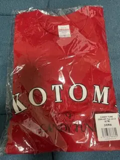 CANDY TUNE 立花琴未 推しアピT XL