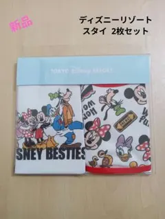 新品　ディズニー スタイ 2枚セット