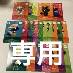 パピコ様　専用