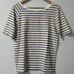 スプレイ レディース ボーダー柄 半袖Tシャツ ブラウン×ホワイト Mサイズ