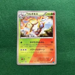 匿名配送　ウルガモス　XY11のサムネイル