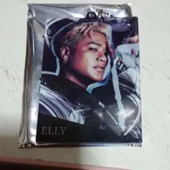 13902 三代目J Soul Brothers ELLYさんキーホルダー
