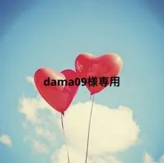 dama09様専用・ネジバネイヤリング（シルバー）