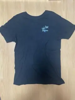 patagonia パタゴニア　Pataloha パタロハ　オーガニックTシャツ