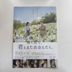 【4枚】あの花が咲く丘で、君とまた出会えたら。 映画 フライヤー