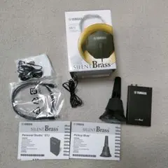 Item thumbnail for item 06bf4d5b-599f-43fa-b7a0-3d952fcae3c0