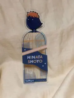 하이큐!! 히나타 쇼요 북마크