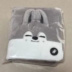 stray kids スキズ バンチャン ウルフチャン フォトカードケース