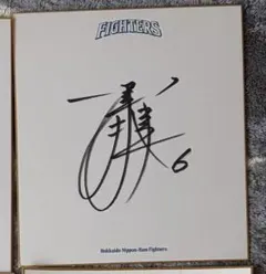 Item thumbnail for item 5f9fc08c-786d-4fe5-8d55-b2b88af8dcf2