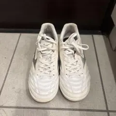 Mizuno モナルシーダネオ　ホワイト/グレー24.0