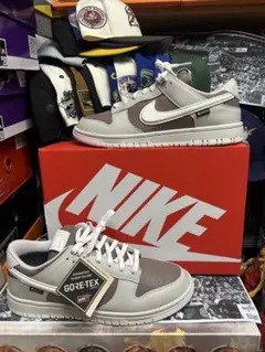【新品】NIKE DUNK LOW GORE-TEX 28.0cm