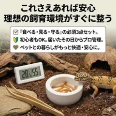 Item thumbnail for item 5303a2da-34bf-4123-9a17-cf8475b30c36