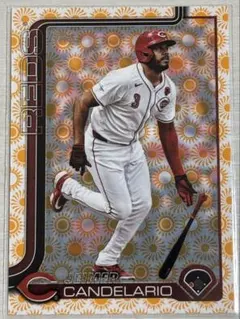 Javier Candelario トレーディングカード 619