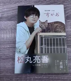 Item thumbnail for item 3deb16bd-de77-4088-bcb1-3c3c08d7c627