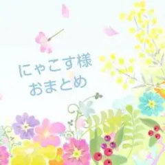 にゃこす様✦おまとめ