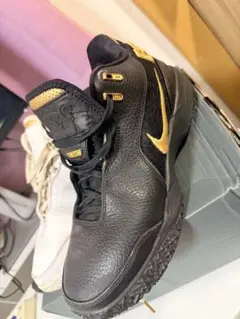 2026年最新】leBron nxxt gen epの人気アイテム - メルカリ
