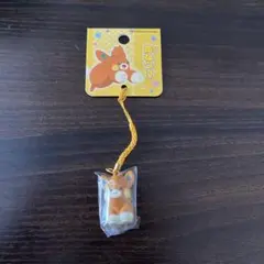 2026年最新】ポケモン 鈴ねつけの人気アイテム - メルカリ