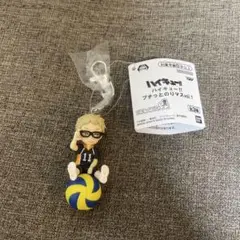 月島蛍 キャラクターグッズ