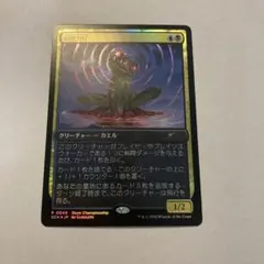 MTG 超能力蛙 日本語 SCH foil プロモ 4枚セット - メルカリ