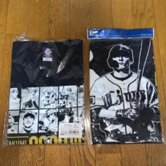 Item thumbnail for item b8290626-53ee-4af4-9232-da31afdf32bf