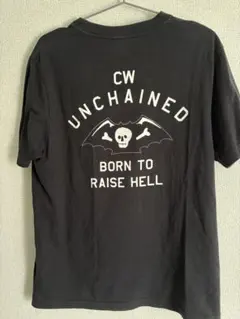 Item thumbnail for item 07f65508-17ec-4d3e-97d5-482acf916891