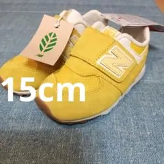 Item thumbnail for item e099fa9e-3bb3-4093-bf14-611cd83eb6b6