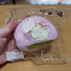 HIJOJOWO スクイーズ ケーキ型 猫モチーフ