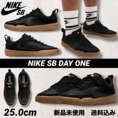 NIKE SB DAY ONE 25.0cm 新品未使用 箱なし配送