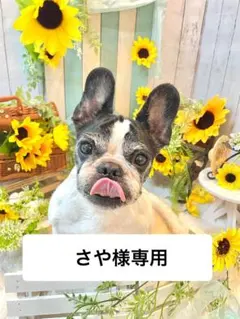 さや様専用ページ