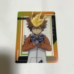 REBORN 沢田綱吉　アニメイト　特典　クリアカード