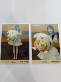 市原愛弓 ポムポムプリン 2枚 - メルカリ