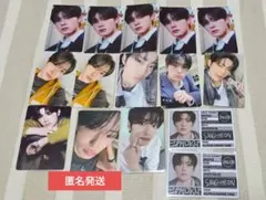 ALD1 EUPHORIA トレカ　サンヒョン　まとめ売り　ラキドロ　ショケ