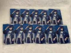 からぴち なおきりウエハ2等身　11枚セット