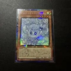 マルチャミーフワロス コレクターズ 1枚