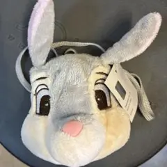 19ディズニーキャラクターファスナーマスコットポーチ