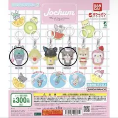 JOCHUM めじるしアクセサリー 2 ちまた チュララ